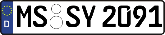 MS-SY2091