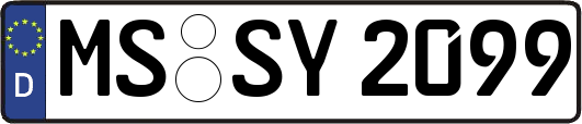 MS-SY2099