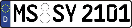 MS-SY2101