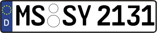 MS-SY2131