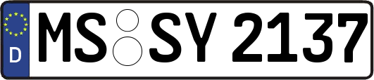 MS-SY2137