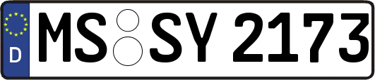MS-SY2173