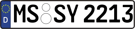 MS-SY2213