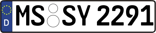 MS-SY2291