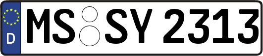 MS-SY2313