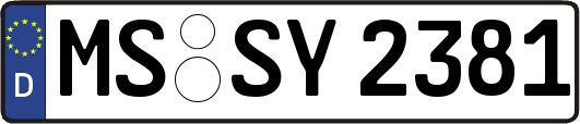 MS-SY2381
