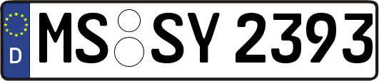 MS-SY2393