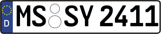MS-SY2411