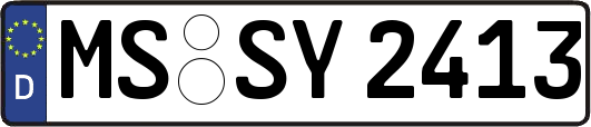MS-SY2413