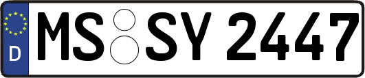 MS-SY2447