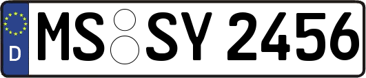 MS-SY2456