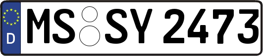MS-SY2473