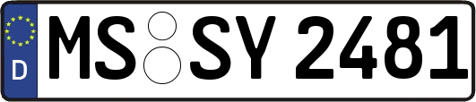 MS-SY2481