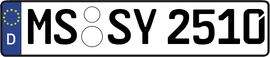 MS-SY2510