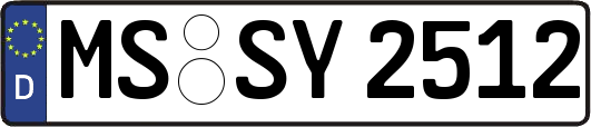 MS-SY2512