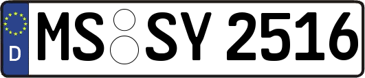 MS-SY2516