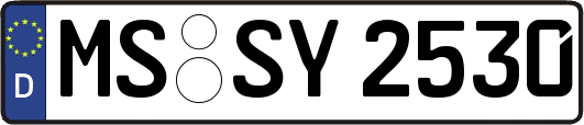 MS-SY2530