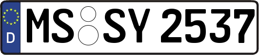 MS-SY2537