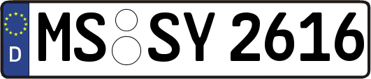 MS-SY2616
