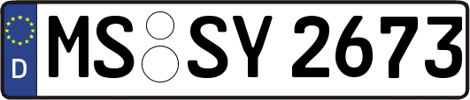 MS-SY2673