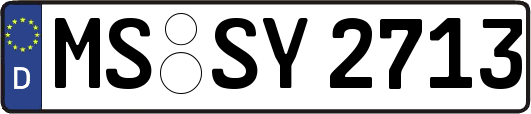MS-SY2713