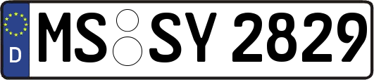 MS-SY2829