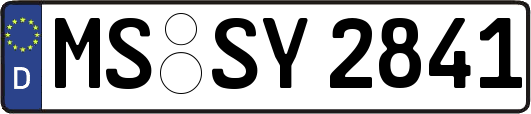 MS-SY2841