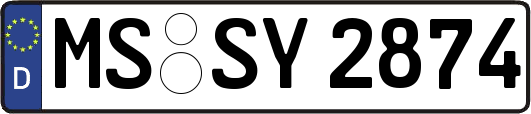 MS-SY2874