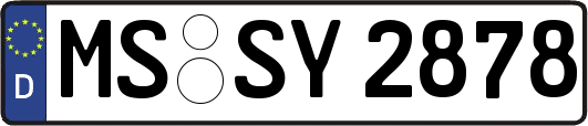 MS-SY2878