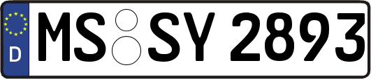 MS-SY2893