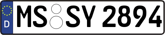 MS-SY2894