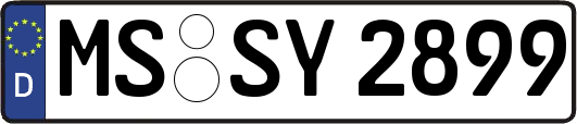 MS-SY2899