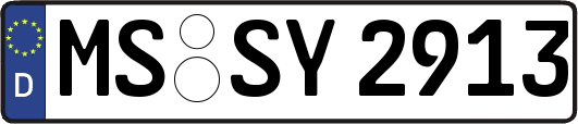 MS-SY2913