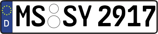 MS-SY2917