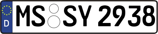 MS-SY2938