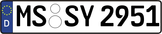 MS-SY2951