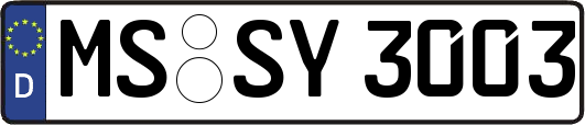 MS-SY3003