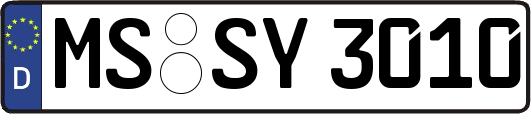 MS-SY3010