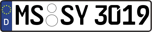 MS-SY3019