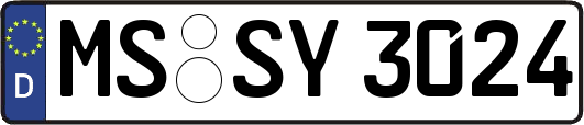 MS-SY3024