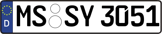 MS-SY3051
