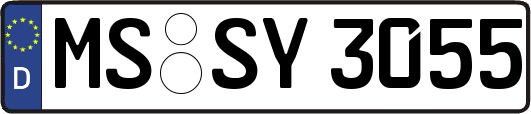 MS-SY3055