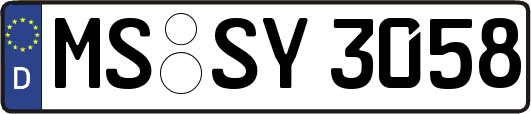 MS-SY3058