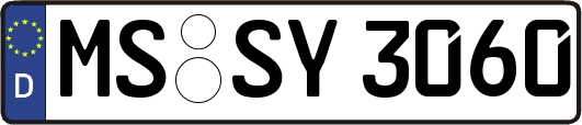 MS-SY3060