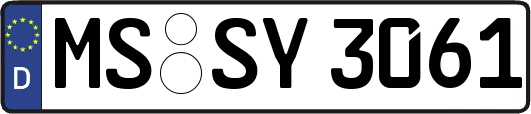 MS-SY3061
