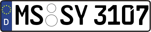 MS-SY3107