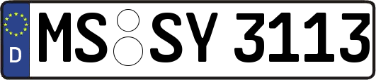 MS-SY3113