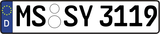MS-SY3119