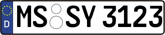 MS-SY3123