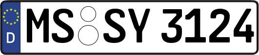 MS-SY3124